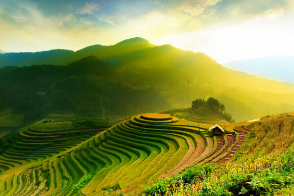 rond-reizen-thailand-reisbureau-meppel